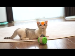 Voice-Controlled Balance Scooter for Cats