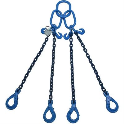 Dobra cena. Standard Blacken Finished Strong G80 Alloy Steel Lifting Chain Sling with Hook w Internecie